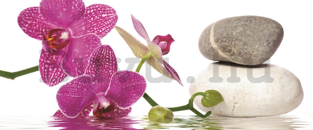 Fotótapéta: Orchidea kövekkel - 104x250 cm