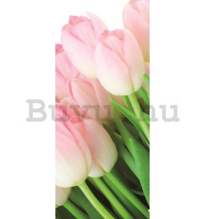 Fotótapéta: Tulipán csokor - 211x91 cm