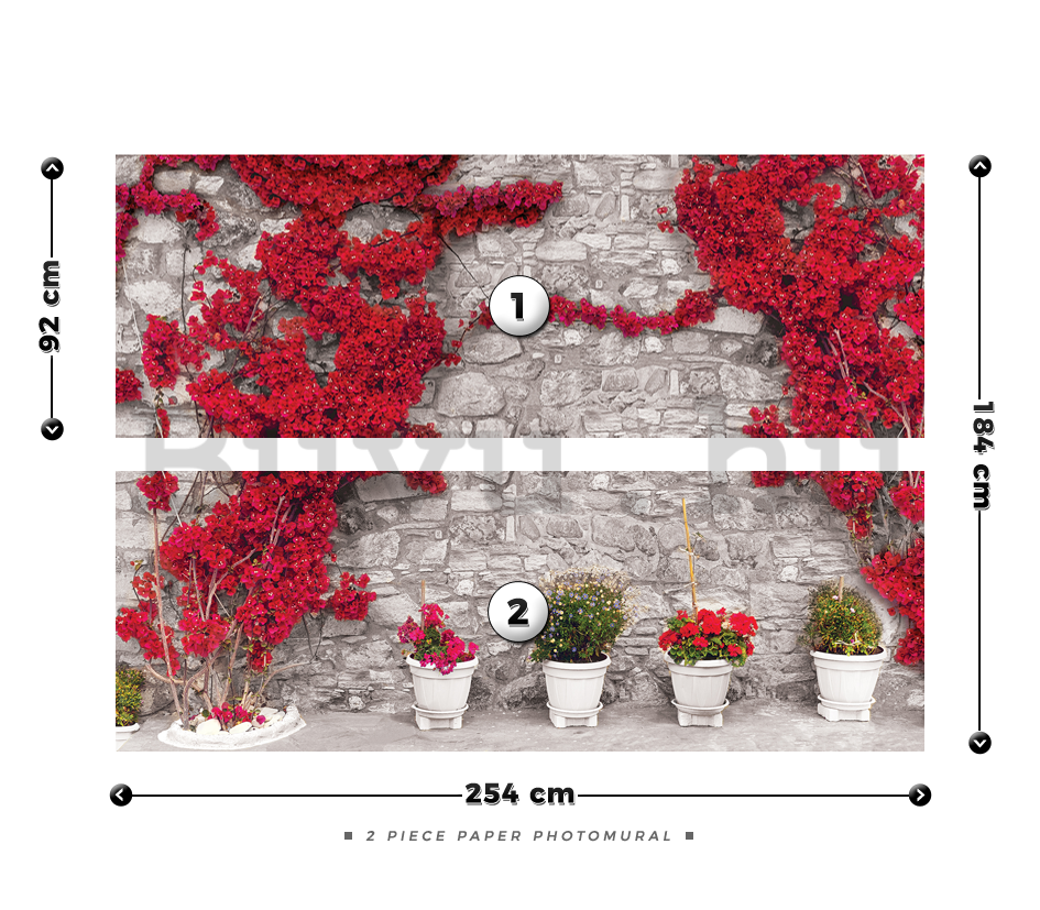 Fotótapéta: Piros virágos fal - 184x254 cm