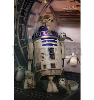 Plakát - Star Wars Last Jedi (R2-D2 & Porgs)