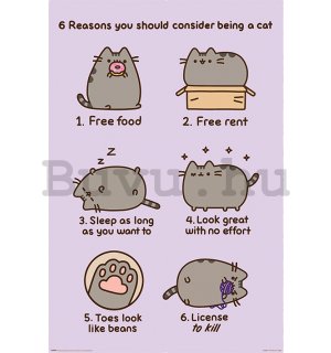 Plakát - Pusheen (Reasons to be a Cat)