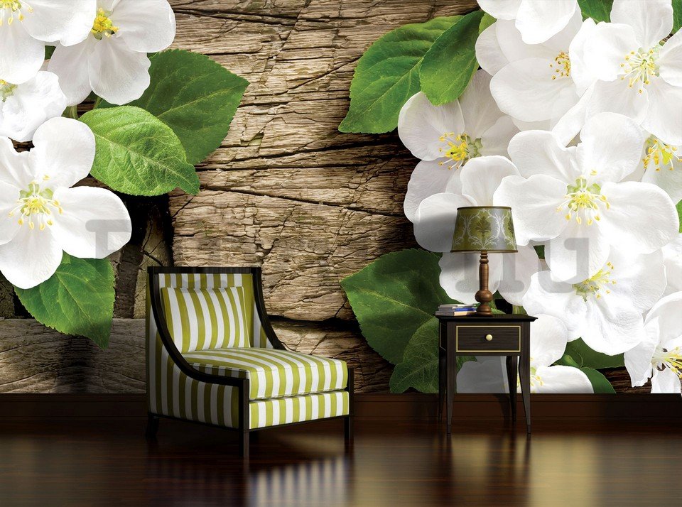 Fotótapéta: Fehér orchideák (2) - 184x254 cm