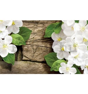 Fotótapéta: Fehér orchideák (2) - 184x254 cm