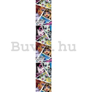 Fotótapéta: Monster High (2) - 280x50 cm