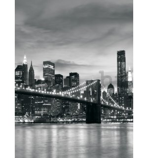 Fotótapéta: Brooklyn Bridge - 254x184 cm