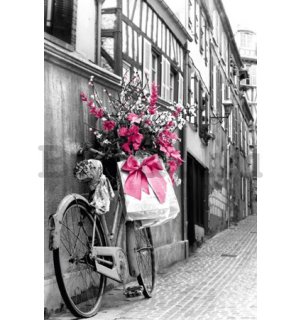 Plakát - Pink flowers