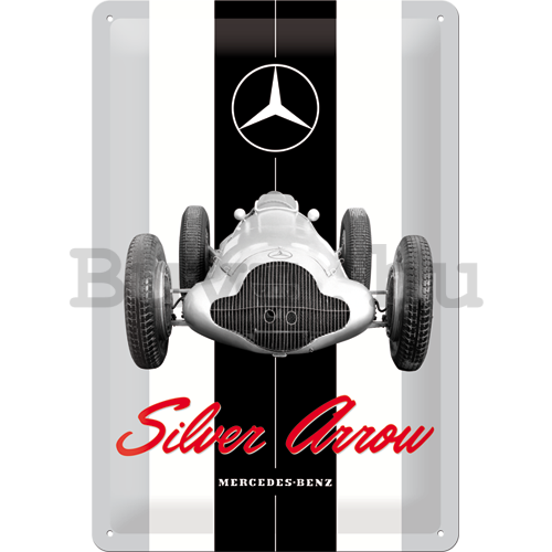 Fémtáblák: Mercedes-Benz Silver Arrow - 30x20 cm