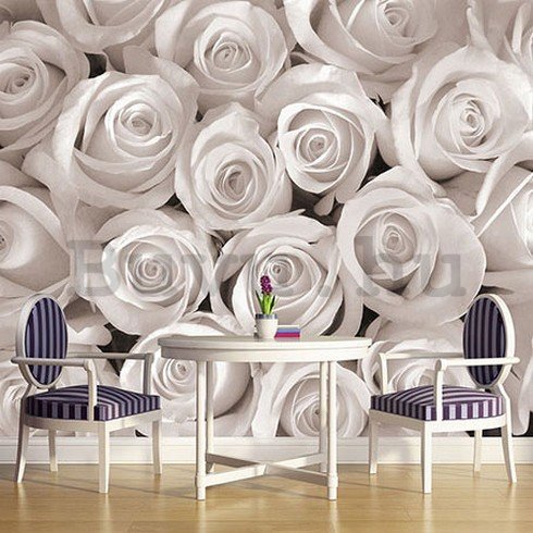 Fotótapéta: Fehér rózsa - 184x254 cm