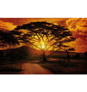 Vlies fotótapéta: Afrikai naplemente - 254x368 cm