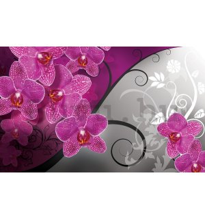 Vlies fotótapéta: Orchidea (3) - 254x368 cm