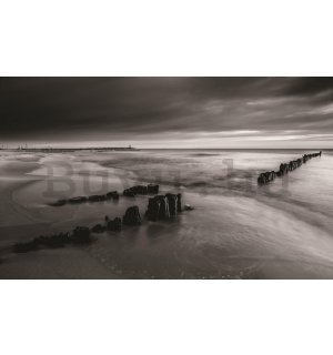 Fotótapéta: Fekete-fehér vízpart - 254x368 cm