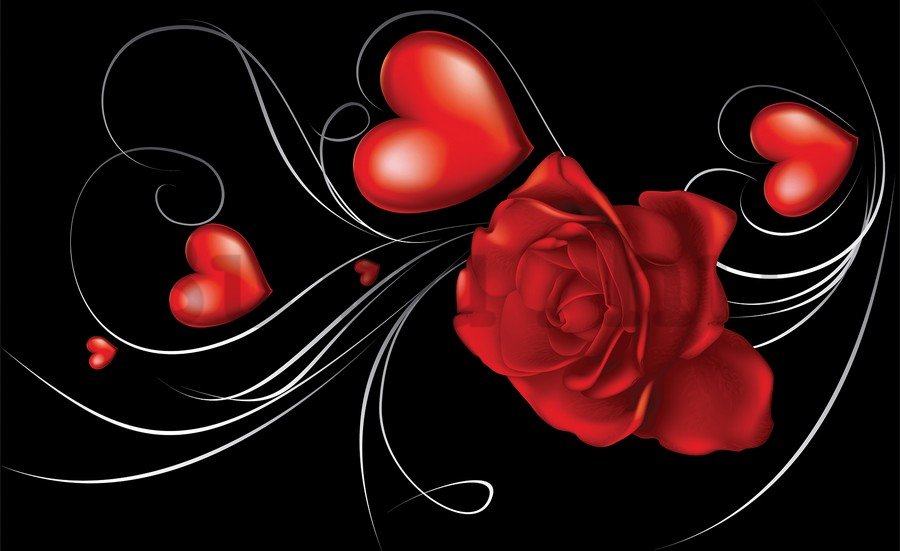 Vlies fotótapéta: Rózsák és szívek - 254x368 cm