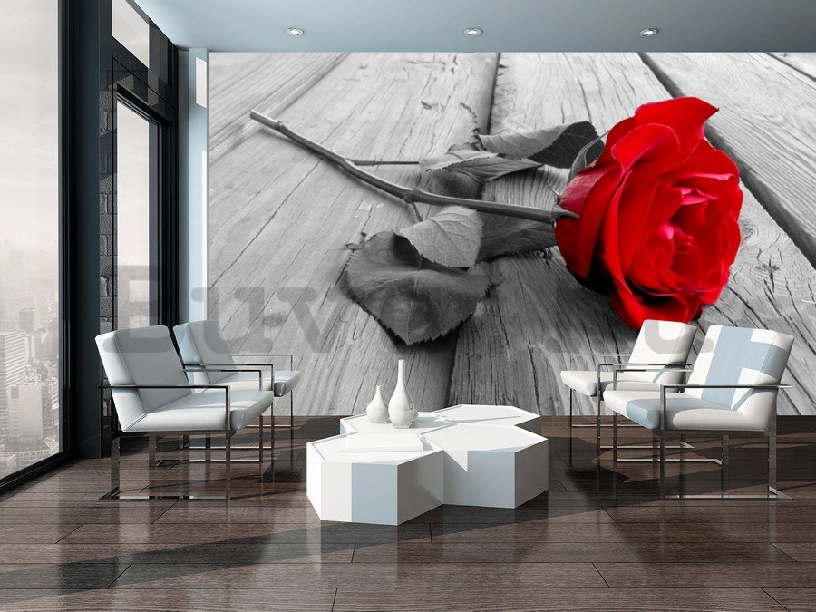 Vlies fotótapéta: Piros rózsa - 104x152,5 cm
