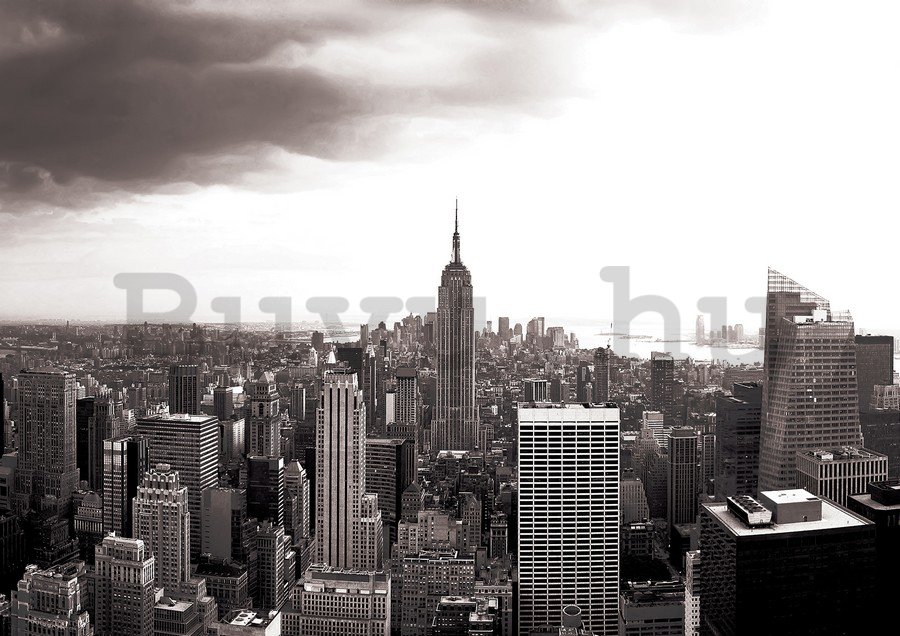 Vlies fotótapéta: Manhattan (feket - 254x368 cm