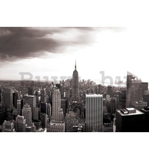 Vlies fotótapéta: Manhattan (feket - 254x368 cm