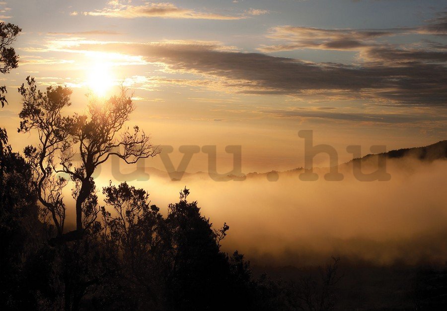 Fotótapéta: Napkelte a ködös erdő felett - 254x368 cm