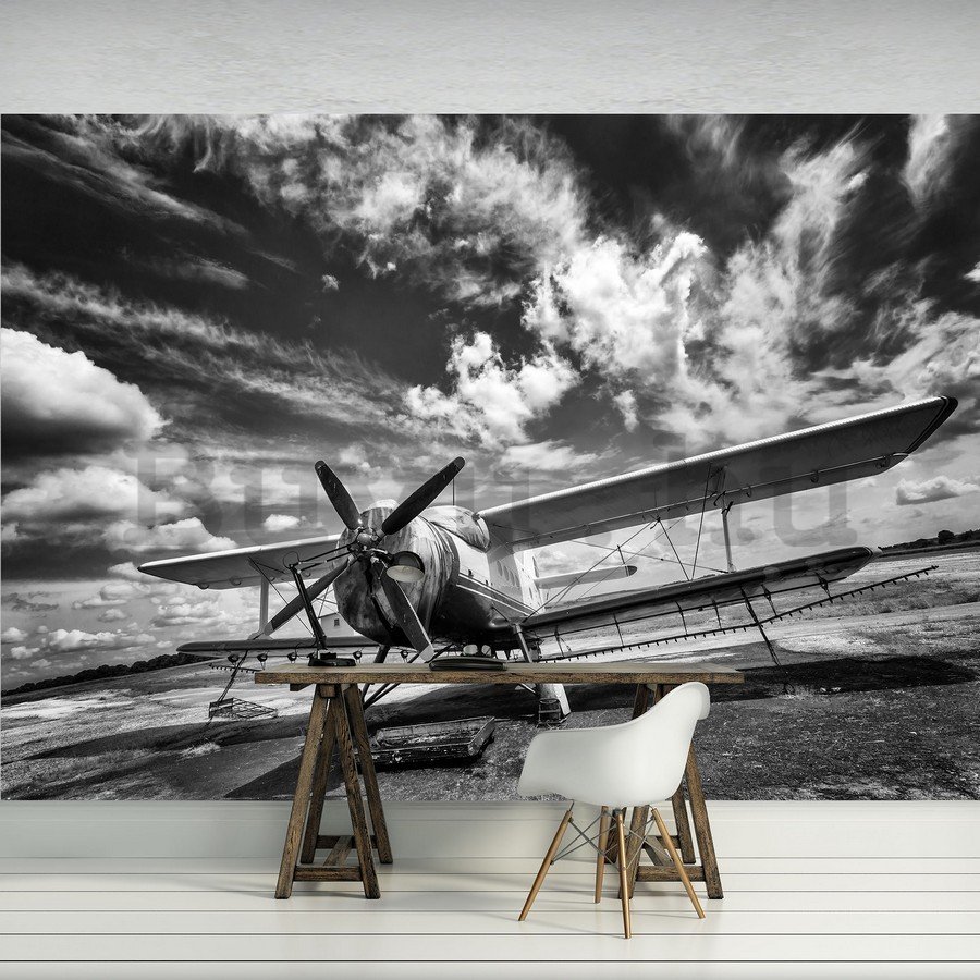 Fotótapéta: Kétfedelű repülőgép (fekete-fehér) - 184x254 cm