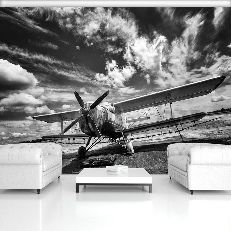 Fotótapéta: Kétfedelű repülőgép (fekete-fehér) - 254x368 cm
