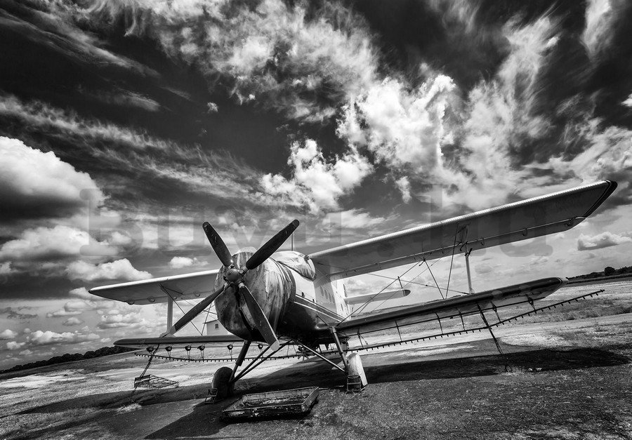 Fotótapéta: Kétfedelű repülőgép (fekete-fehér) - 254x368 cm