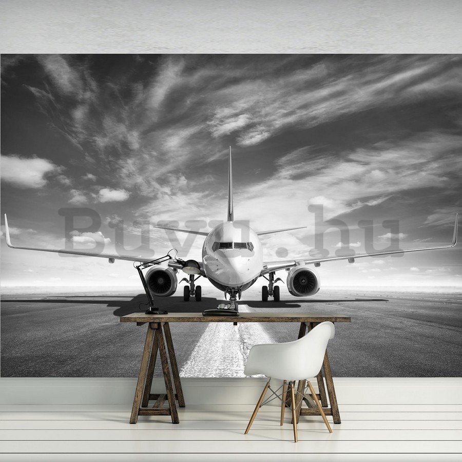 Fotótapéta: Lökhajtásos repülő (fekete-fehér) - 184x254 cm