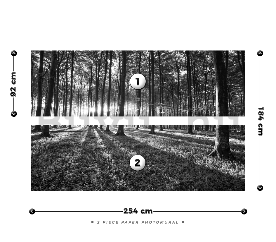 Fotótapéta: Fekete-fehér erdő (1) - 184x254 cm