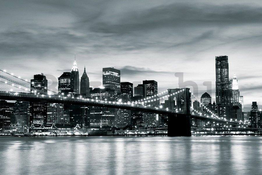 Vlies fotótapéta: Brooklyn Bridge (feket - 254x368 cm