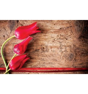 Vlies fotótapéta: Piros tulipánok (2) - 184x254 cm