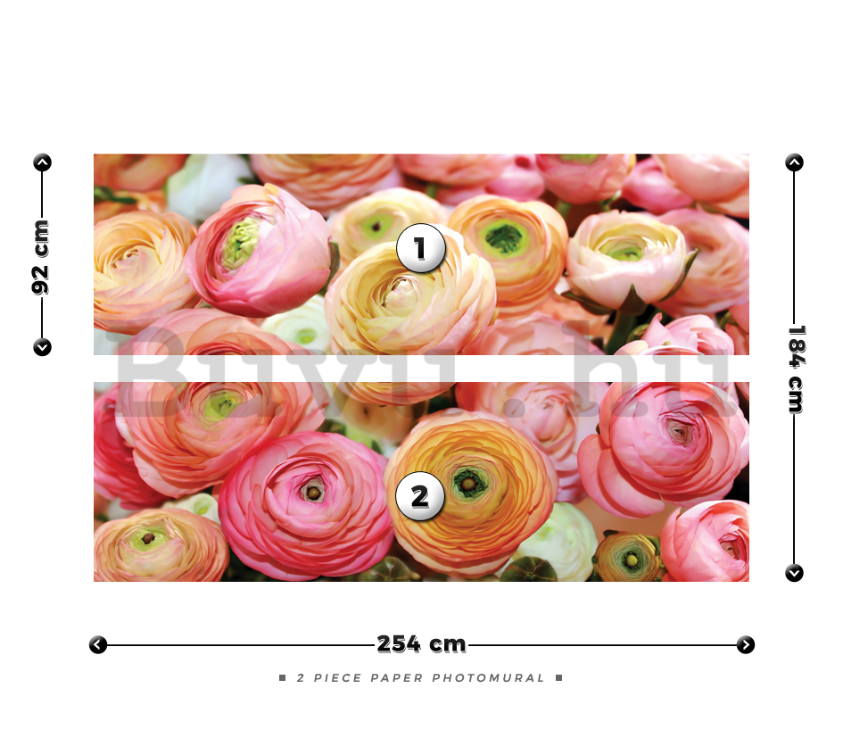 Fotótapéta: Narancssárga és rózsaszín rózsák - 184x254 cm