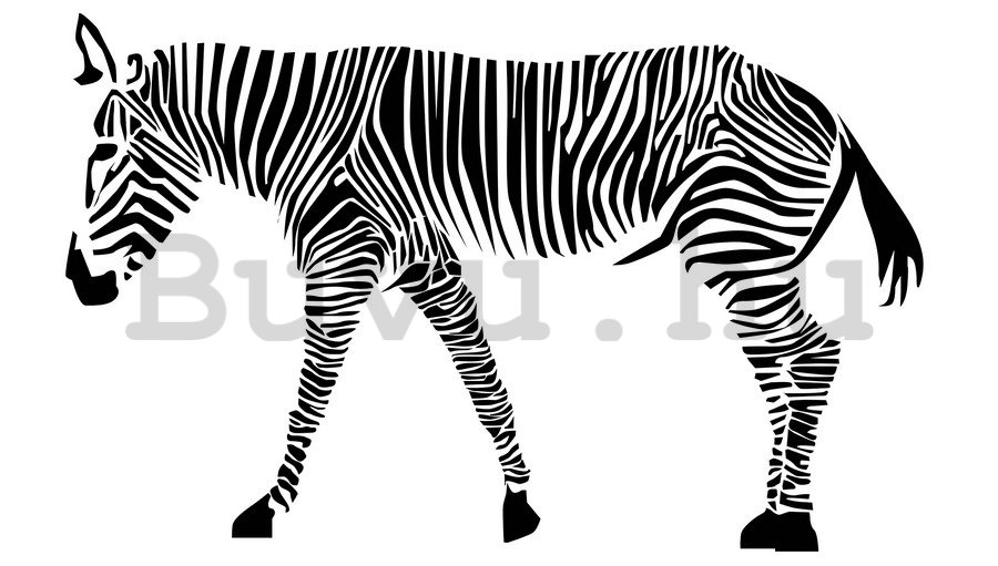 Falmatrica - Zebra (2)