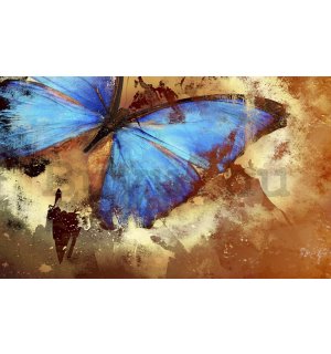 Fotótapéta: Festett pillangó - 254x368 cm
