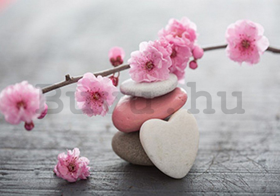 Vlies fotótapéta: Virágzó cseresznye és a szív - 254x368 cm
