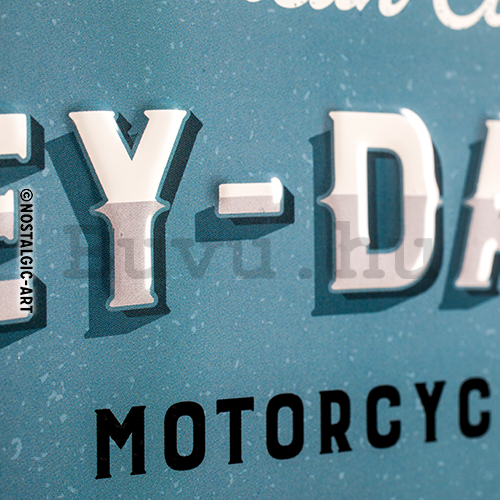 Fémtáblák: Harley-Davidson (Free Spirit Riders) - 30x40 cm