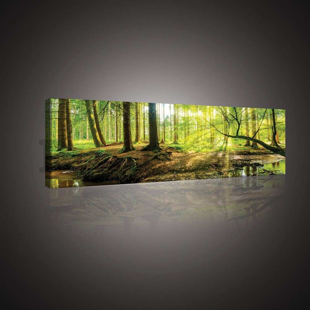 Vászonkép: Áteres erdő - 145x45 cm