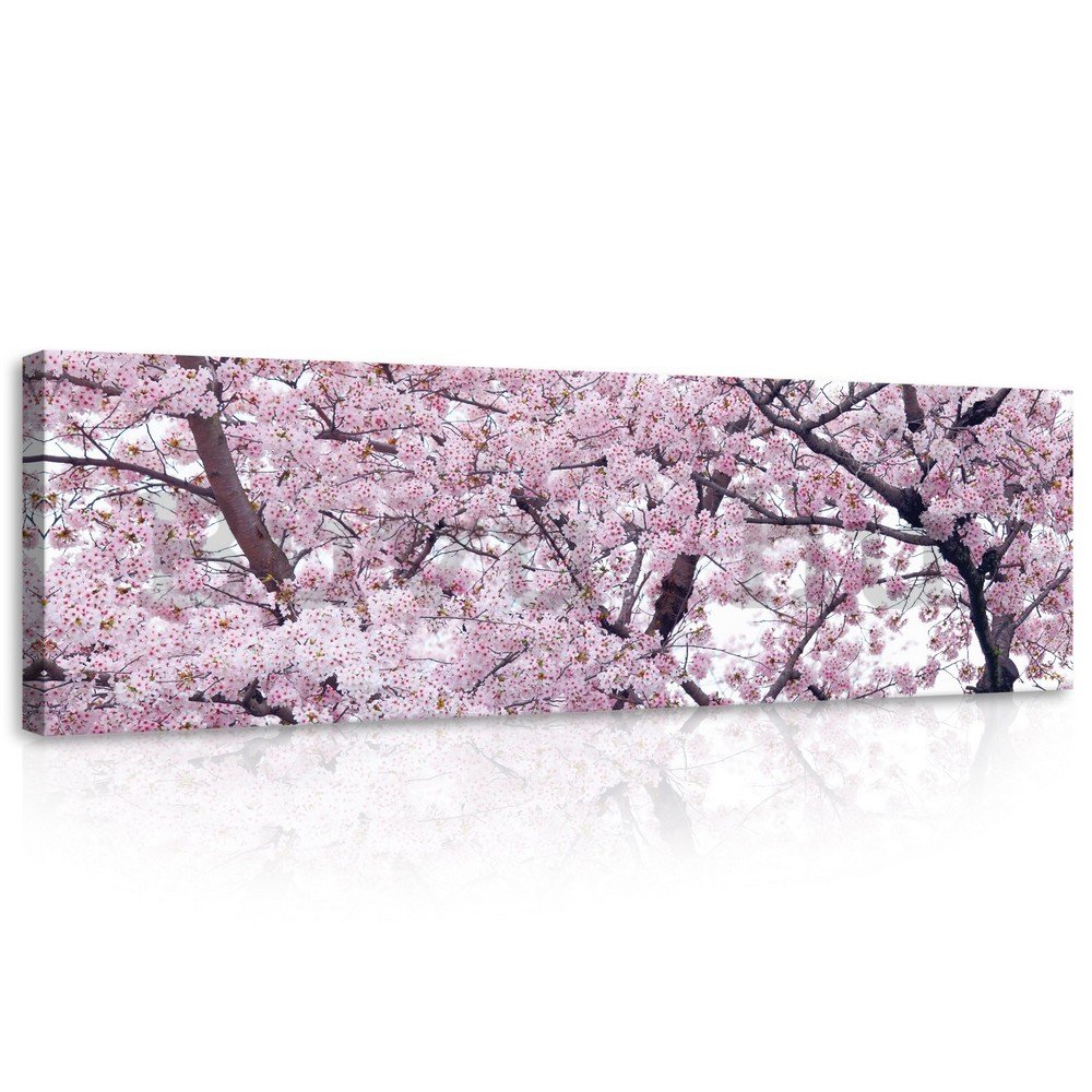 Vászonkép: Virágzó cseresznye (1) - 145x45 cm