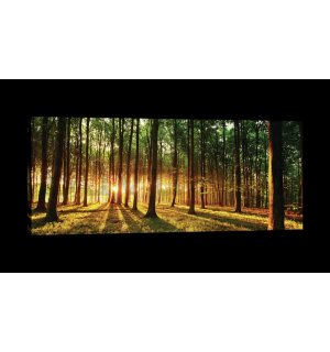 Vászonkép: Erdei naplemente - 145x45 cm