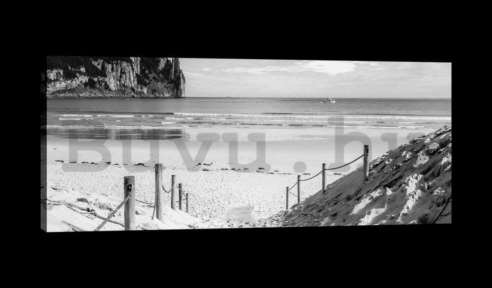 Vászonkép: Homokos tengerpart (fekete-fehér) - 145x45 cm