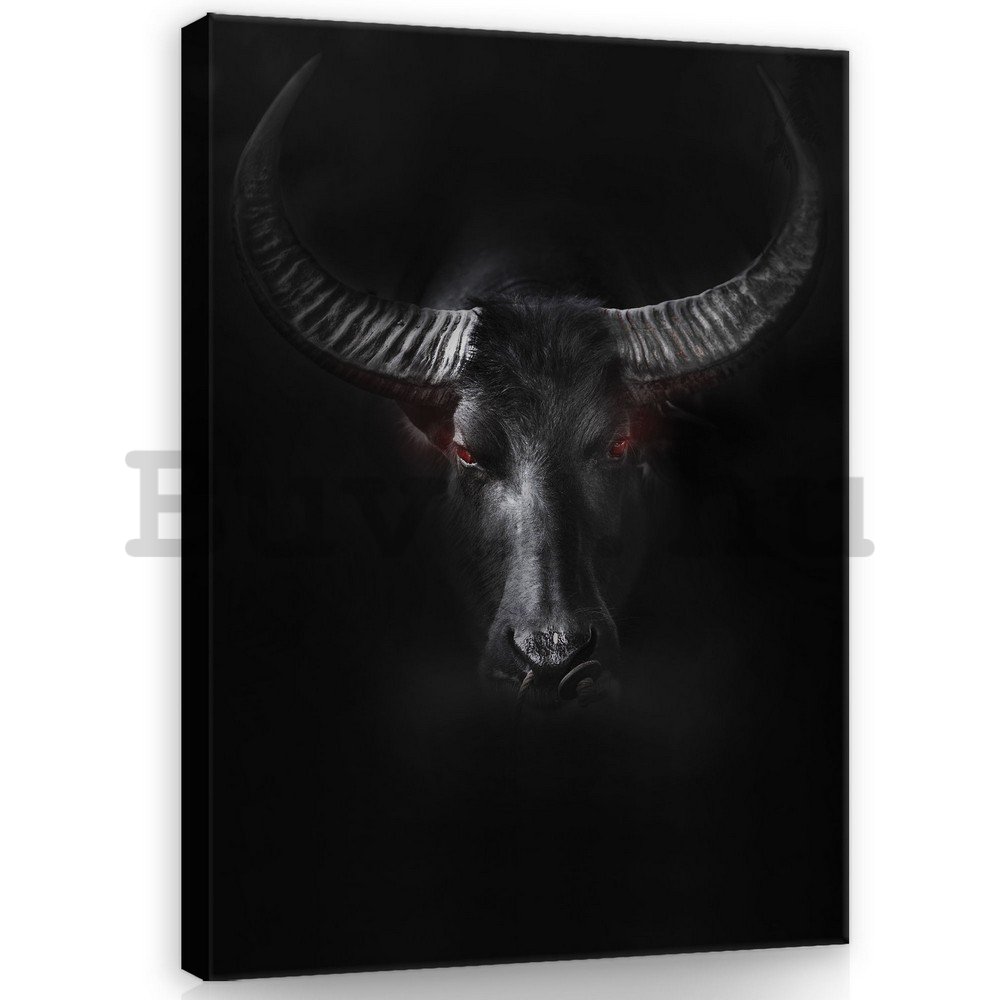 Vászonkép: Fekete bika - 100x75 cm