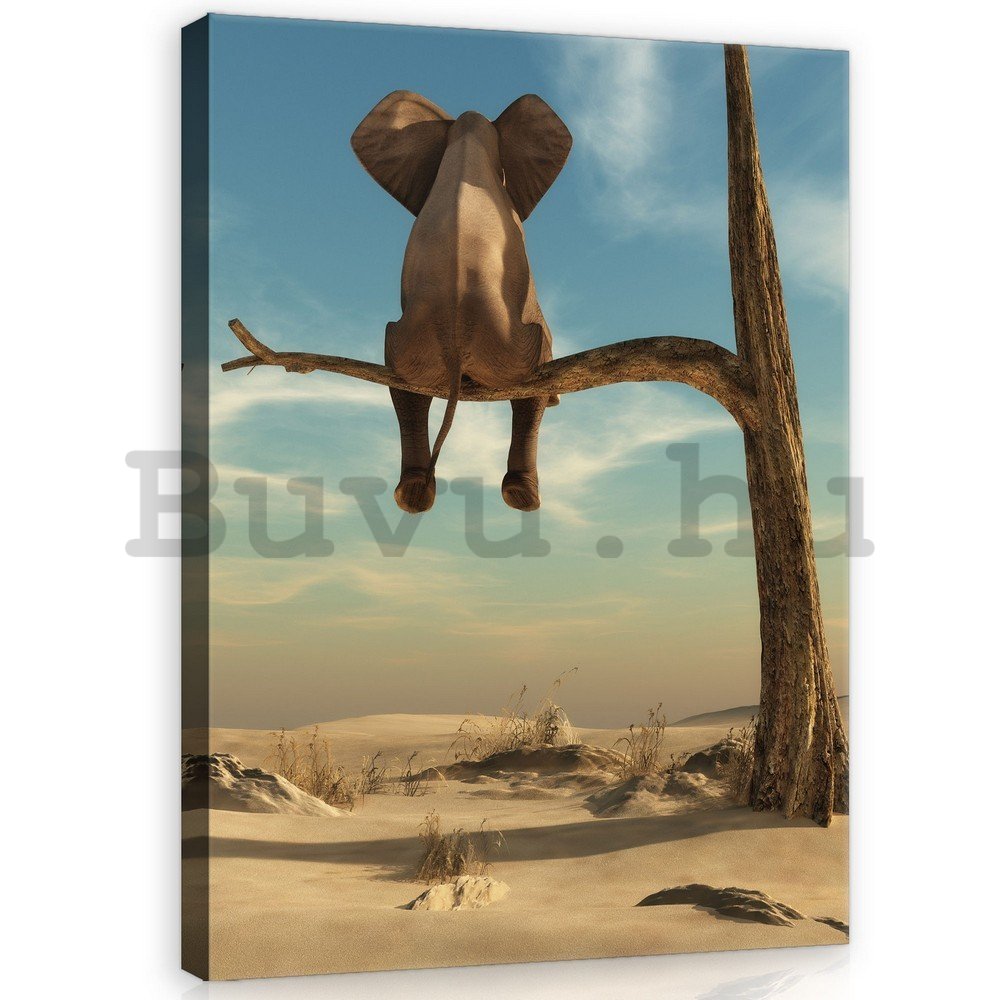 Vászonkép: Elefánt a fán - 100x75 cm