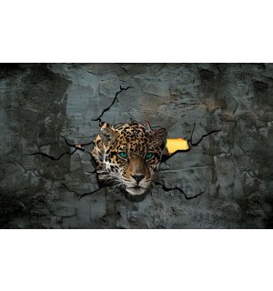 Fotótapéta: Gepárd a falban - 184x254 cm