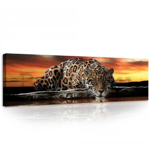 Vászonkép: Jaguar - 145x45 cm