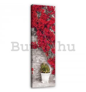 Vászonkép: Piros virágos fal - 145x45 cm
