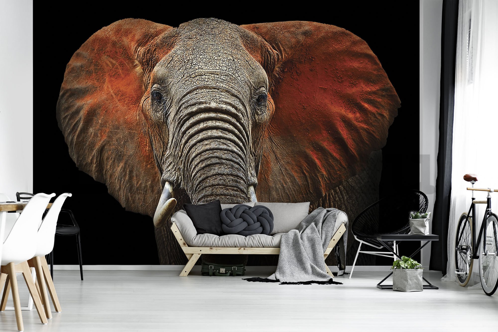 Fotótapéta: Elefánt (részlet) - 184x254 cm