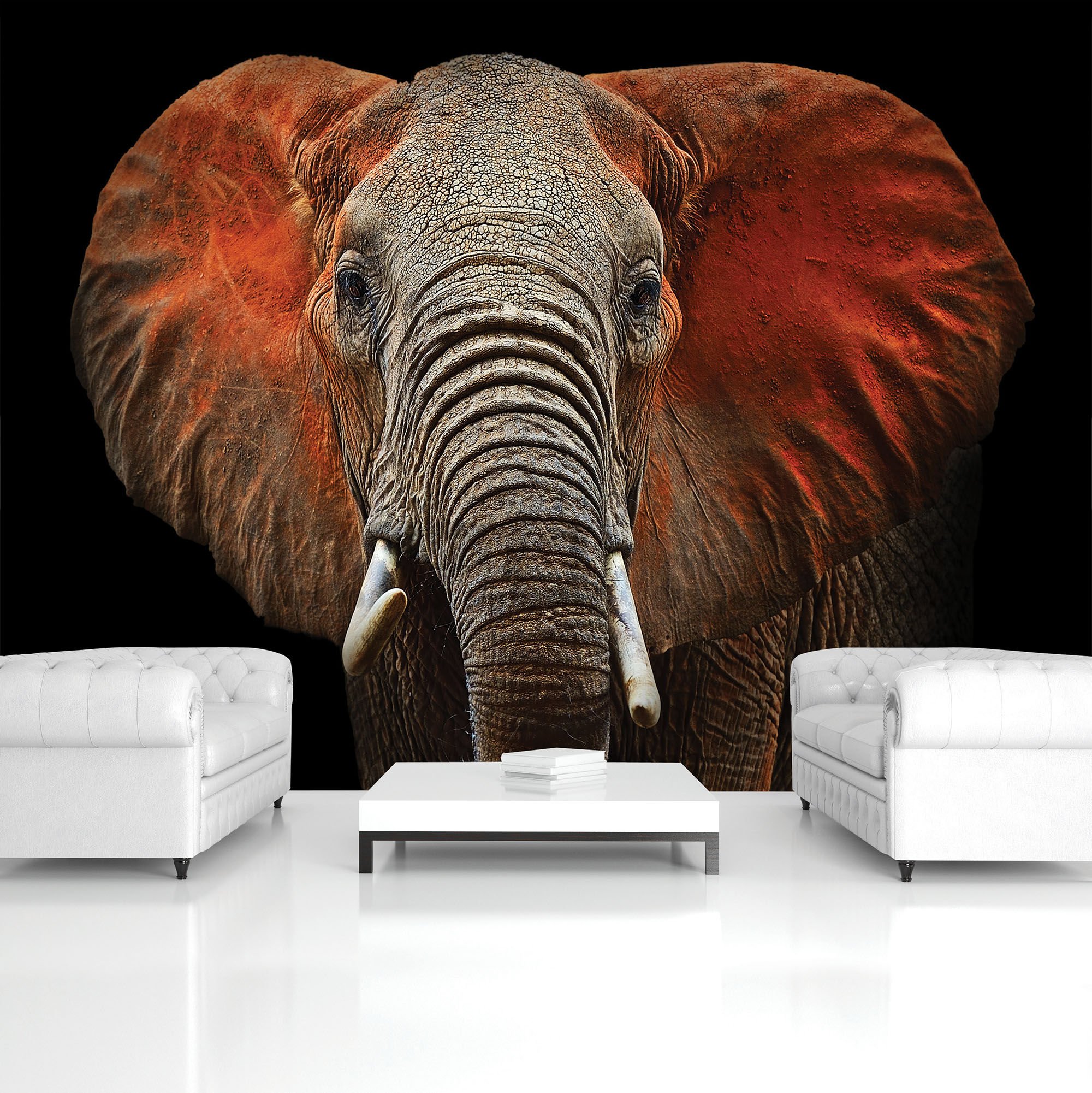 Vlies fotótapéta: Elefánt (részlet) - 184x254 cm