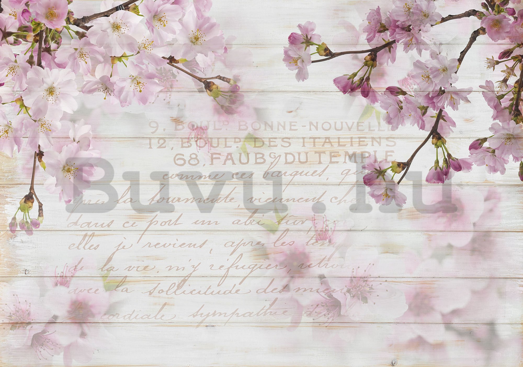 Vlies fotótapéta: Cseresznye virágok (1) - 184x254 cm