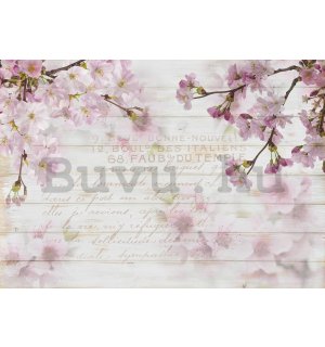 Vlies fotótapéta: Cseresznye virágok (1) - 254x368 cm