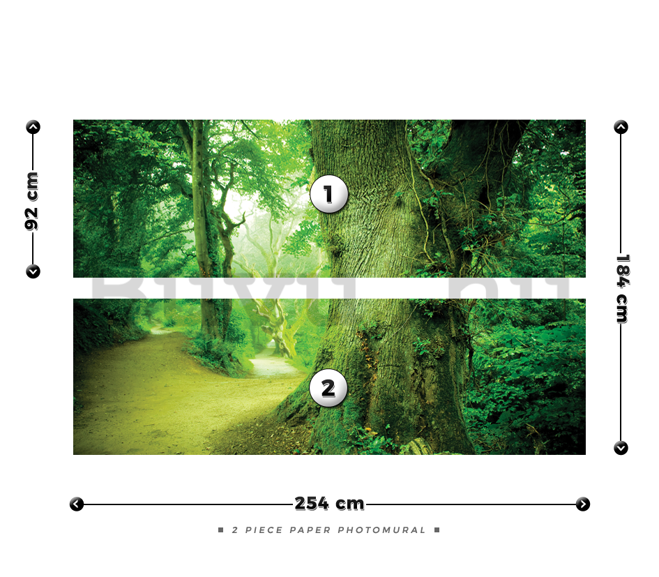 Fotótapéta: Varázslatos erdő - 184x254 cm