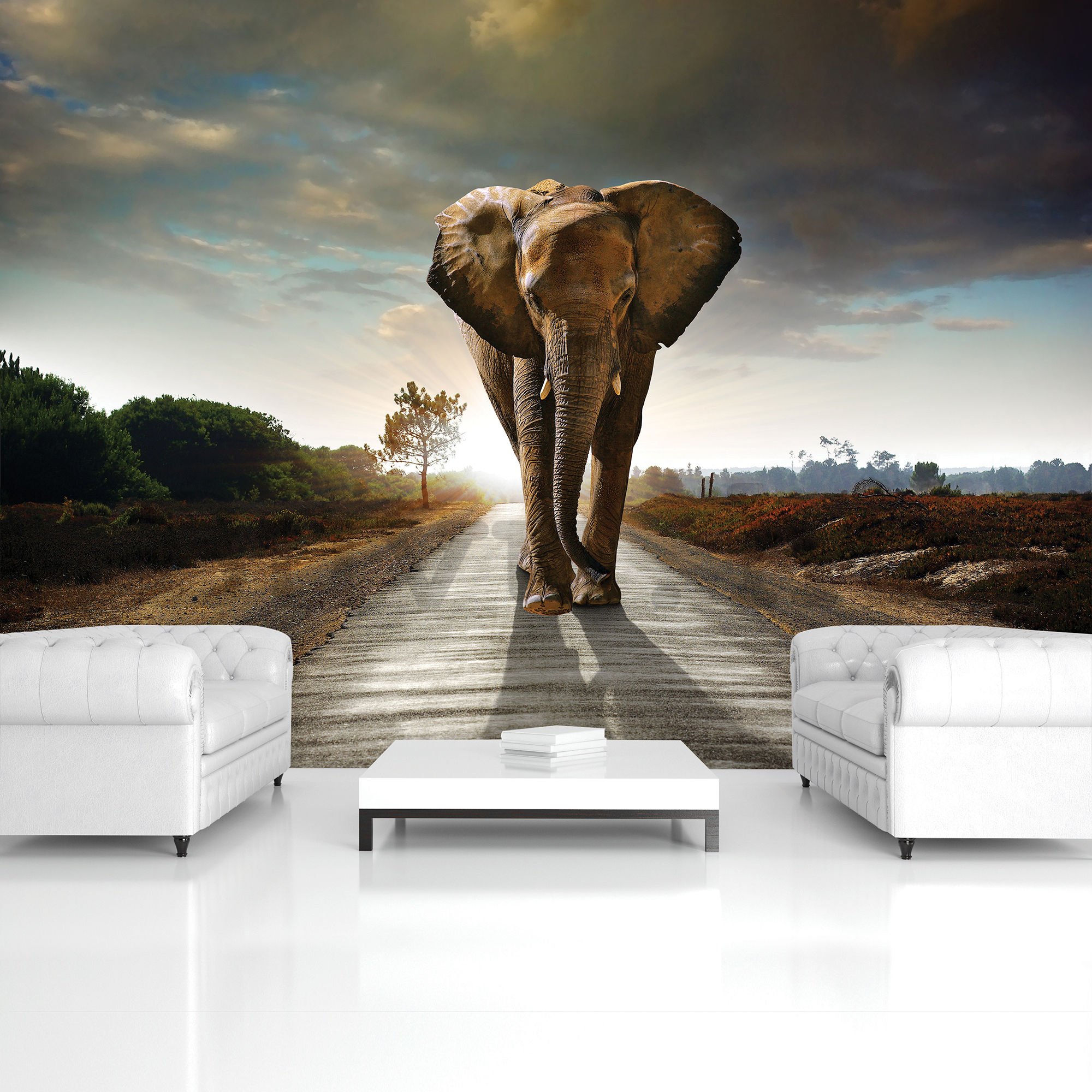Vlies fotótapéta: Elefánt (4) - 184x254 cm