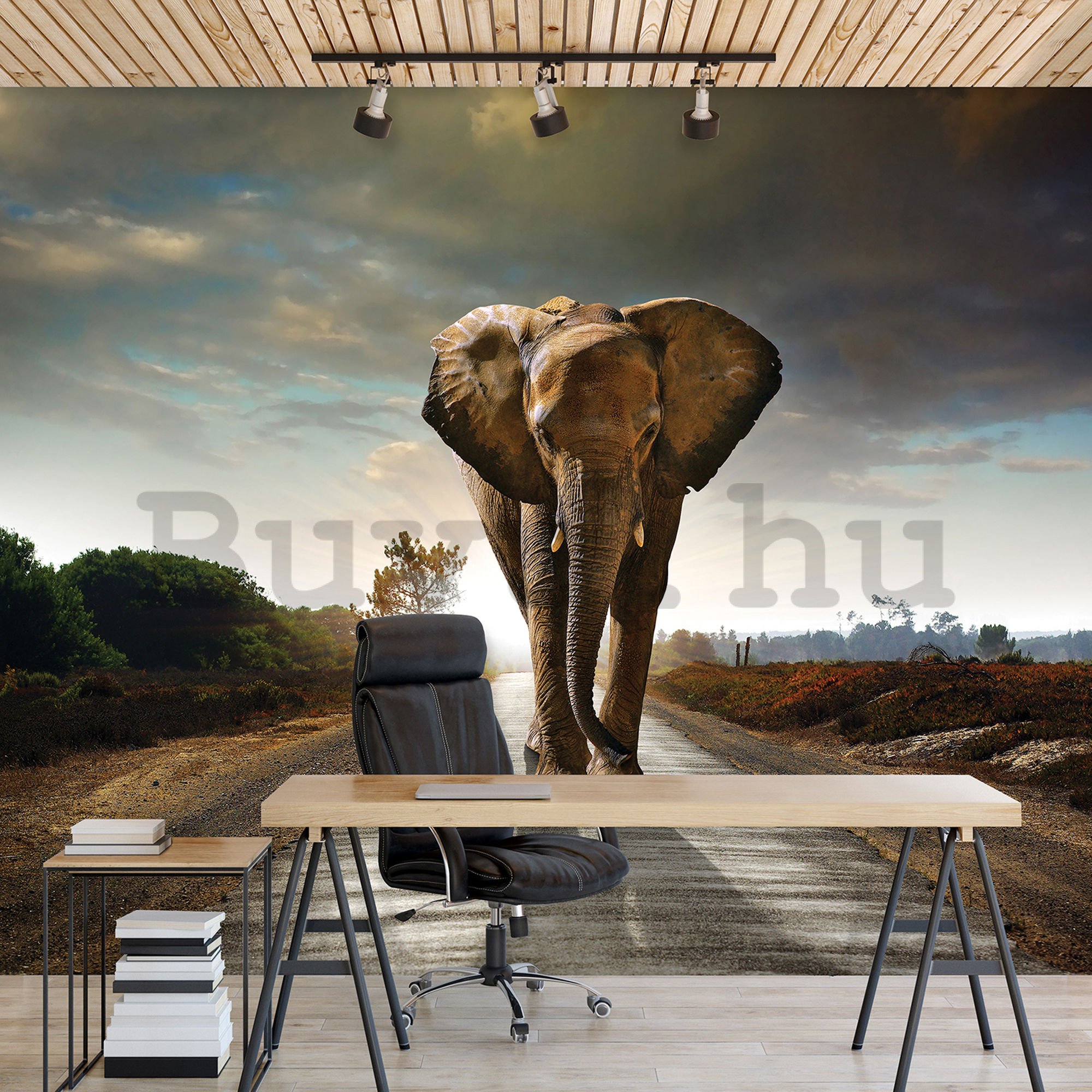 Vlies fotótapéta: Elefánt (4) - 184x254 cm