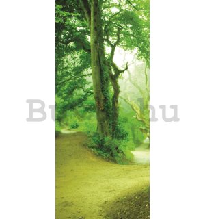 Fotótapéta: Varázslatos erdő - 211x91 cm