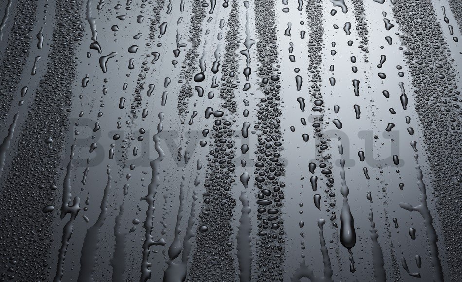 Fotótapéta: Esőcseppek - 184x254 cm